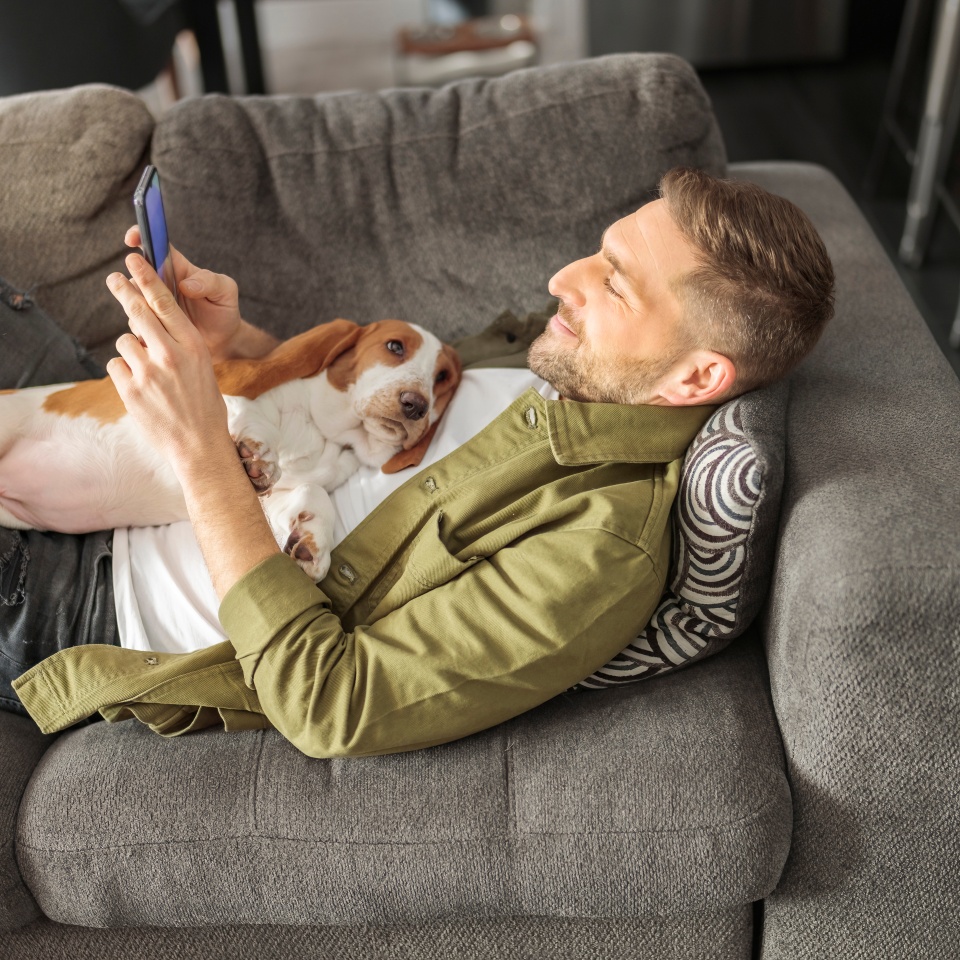 A Man Playing With basset Pet Dog At Home sofa using his cellphone